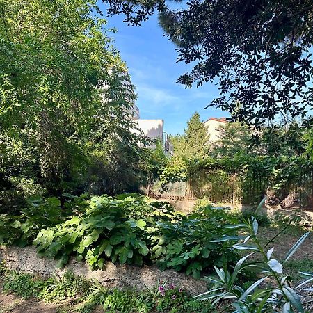 Appartement Avec Jardin Prive A 2Min De La Plage Banyuls-sur-Mer Ngoại thất bức ảnh