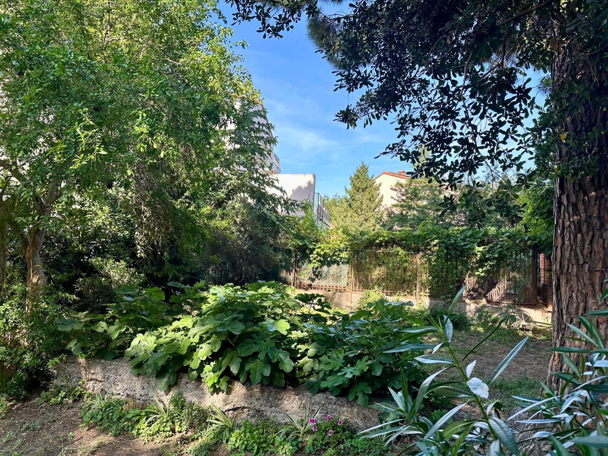 Appartement Avec Jardin Prive A 2Min De La Plage Banyuls-sur-Mer Ngoại thất bức ảnh